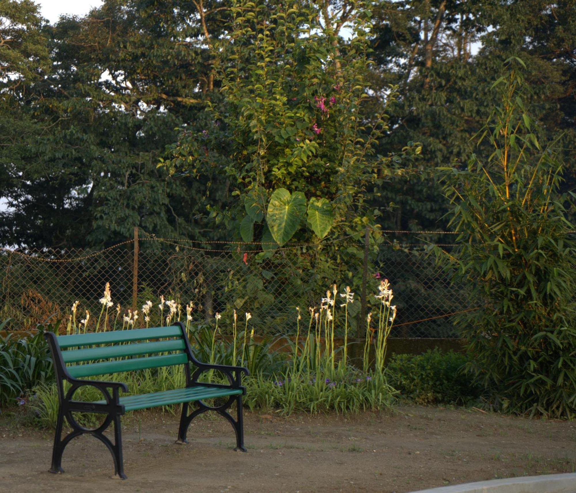 Niharika, The Old Place Kalimpong Exterior foto